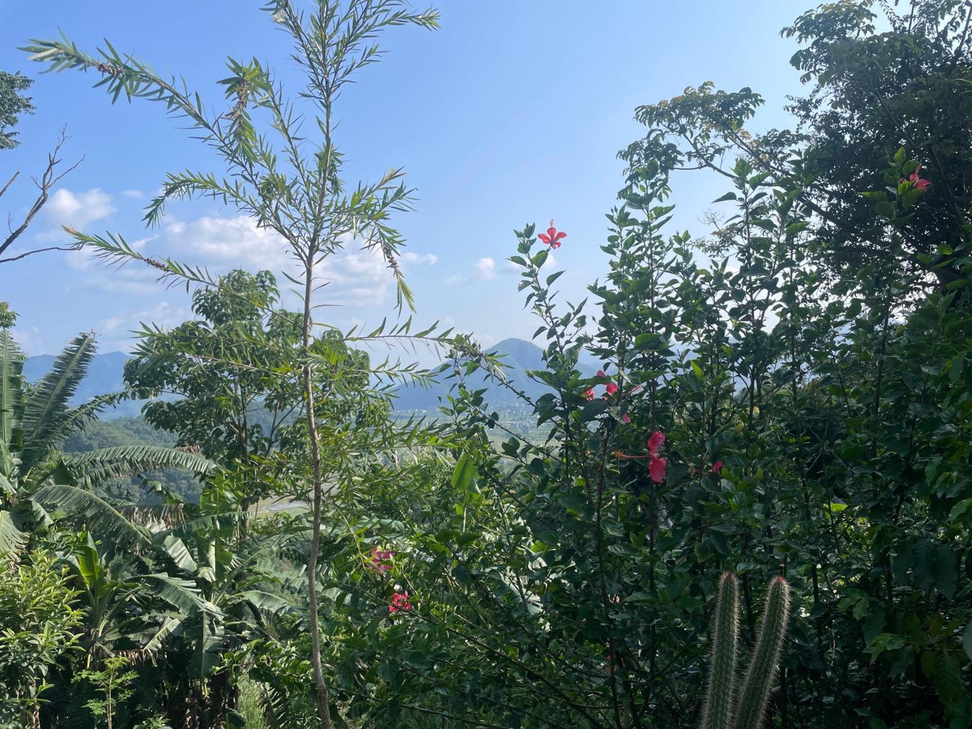 Himalaya Serene View Guest House & Farm Stay Deorāli Exterior foto